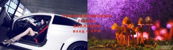 героин Няндома