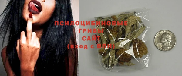 дживик Болотное