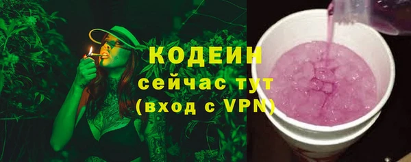 дживик Болотное