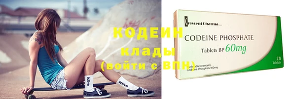 дживик Болотное