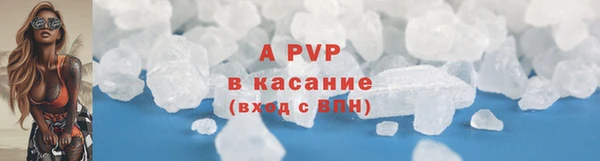 дживик Болотное