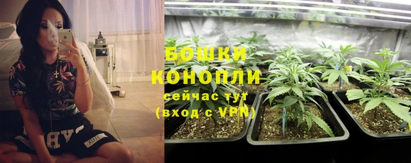 героин Няндома