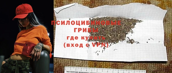 героин Няндома
