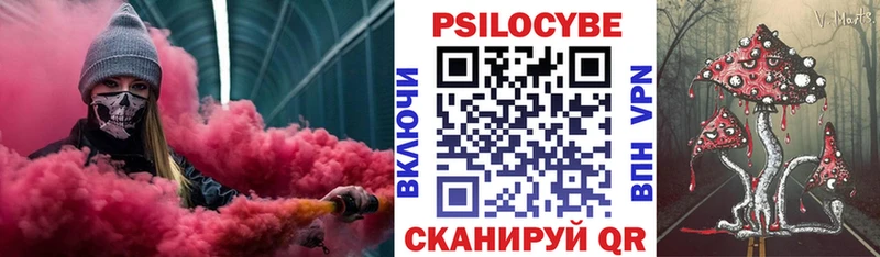 Псилоцибиновые грибы мицелий  Сортавала 